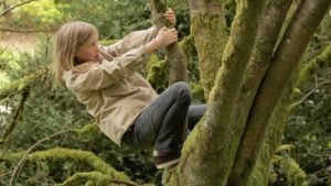 barriere connessione con natura